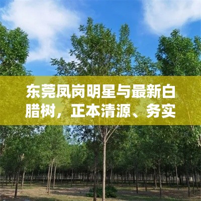 东莞凤岗明星与最新白腊树，正本清源、务实指导与打假警示