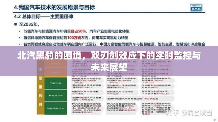 北汽黑豹的困境，双刃剑效应下的实时监控与未来展望