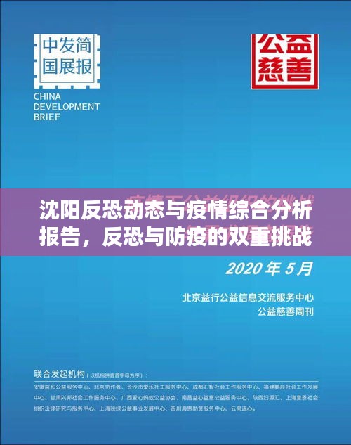 沈阳反恐动态与疫情综合分析报告，反恐与防疫的双重挑战
