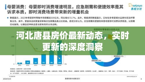 河北唐县房价最新动态，实时更新的深度洞察