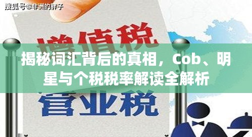 揭秘词汇背后的真相，Cob、明星与个税税率解读全解析