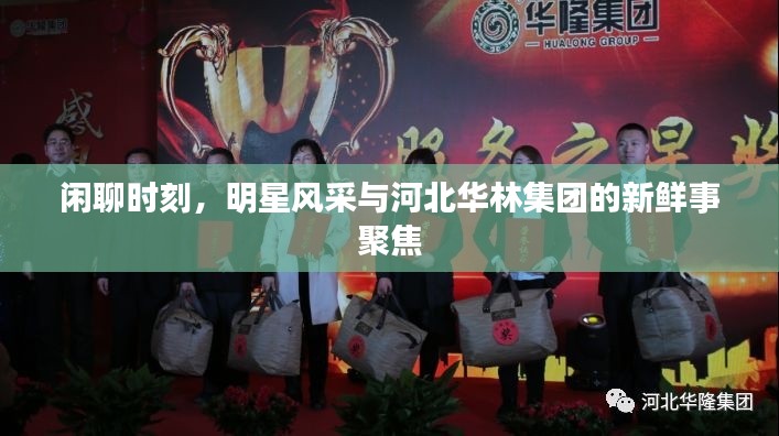 闲聊时刻，明星风采与河北华林集团的新鲜事聚焦