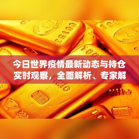 今日世界疫情最新动态与持仓实时观察，全面解析、专家解读及防范虚假宣传