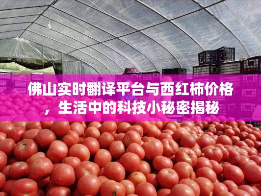 只争朝夕 第2页