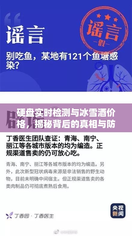 硬盘实时检测与冰雪酒价格，揭秘背后的真相与防范虚假宣传策略