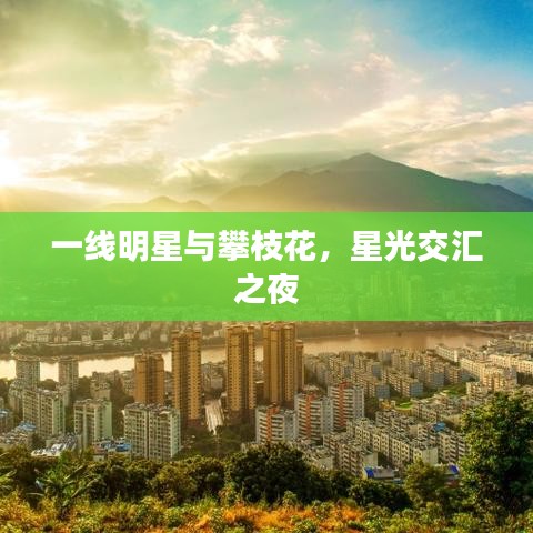 一线明星与攀枝花，星光交汇之夜
