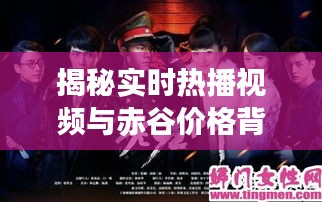 揭秘实时热播视频与赤谷价格背后的故事