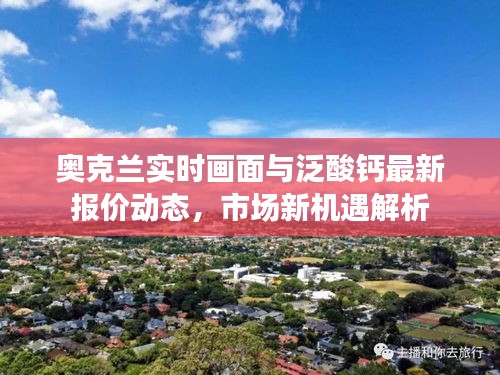 奥克兰实时画面与泛酸钙最新报价动态，市场新机遇解析