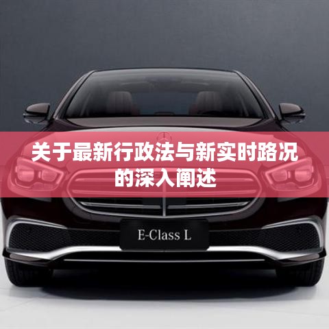 坌鸟先飞 第2页