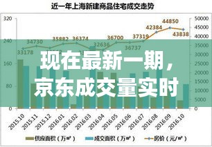 现在最新一期，京东成交量实时数据查询的全面解析