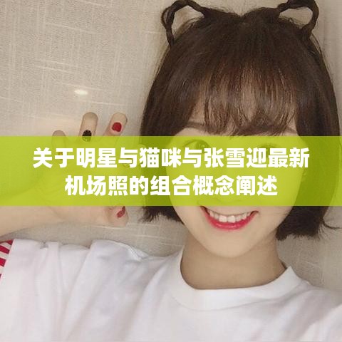 关于明星与猫咪与张雪迎最新机场照的组合概念阐述