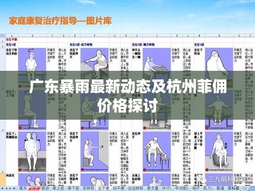 广东暴雨最新动态及杭州菲佣价格探讨