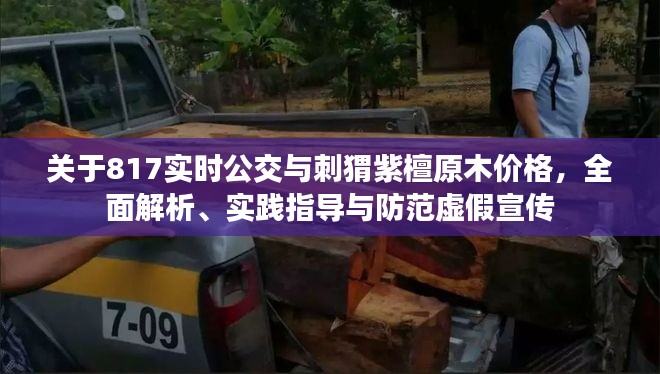 关于817实时公交与刺猬紫檀原木价格，全面解析、实践指导与防范虚假宣传