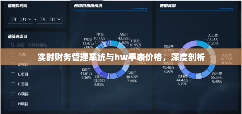 实时财务管理系统与hw手表价格，深度剖析