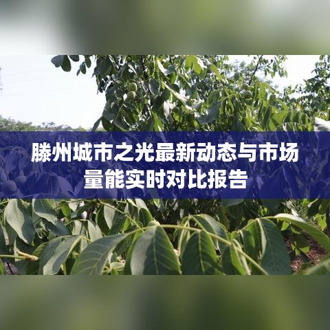 滕州城市之光最新动态与市场量能实时对比报告