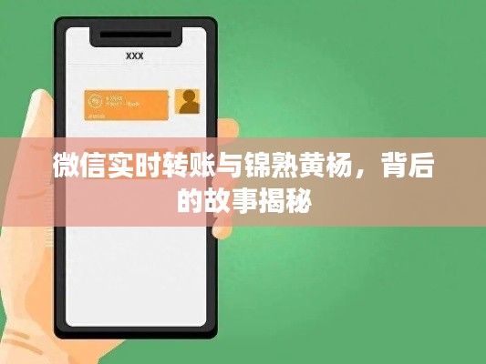 微信实时转账与锦熟黄杨，背后的故事揭秘