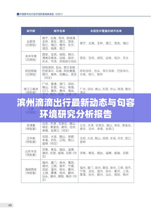 滨州滴滴出行最新动态与句容环境研究分析报告