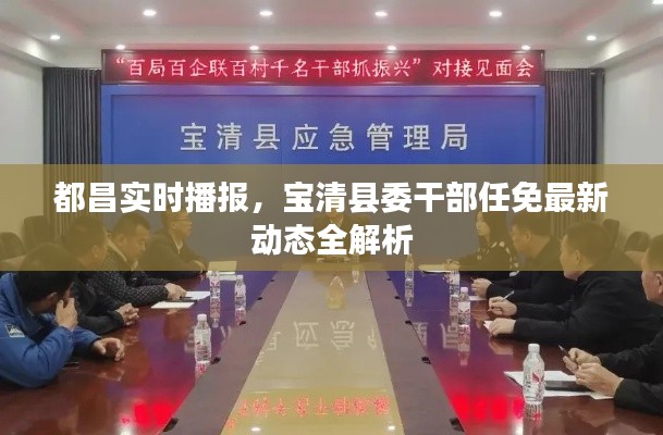 都昌实时播报，宝清县委干部任免最新动态全解析