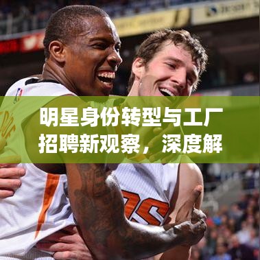 明星身份转型与工厂招聘新观察，深度解读社会现象