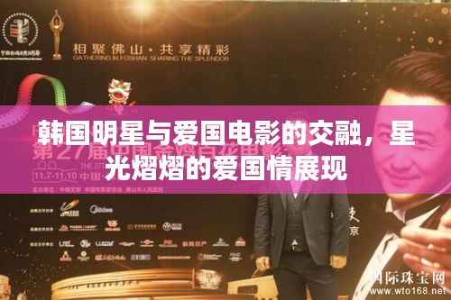 韩国明星与爱国电影的交融，星光熠熠的爱国情展现