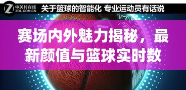 赛场内外魅力揭秘，最新颜值与篮球实时数据大解析