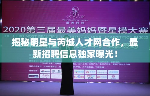 揭秘明星与芮城人才网合作，最新招聘信息独家曝光！