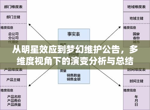从明星效应到梦幻维护公告，多维度视角下的演变分析与总结