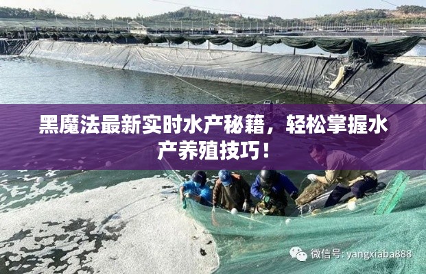 黑魔法最新实时水产秘籍，轻松掌握水产养殖技巧！