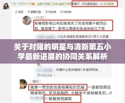 关于对赌的明星与清新第五小学最新进展的协同关系解析