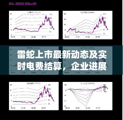雷蛇上市最新动态及实时电费结算，企业进展与市场观察