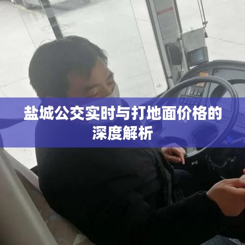 盐城公交实时与打地面价格的深度解析