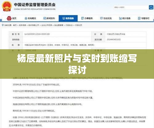 杨辰最新照片与实时到账缩写探讨