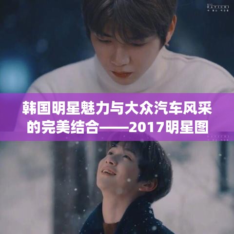 韩国明星魅力与大众汽车风采的完美结合——2017明星图片回顾展