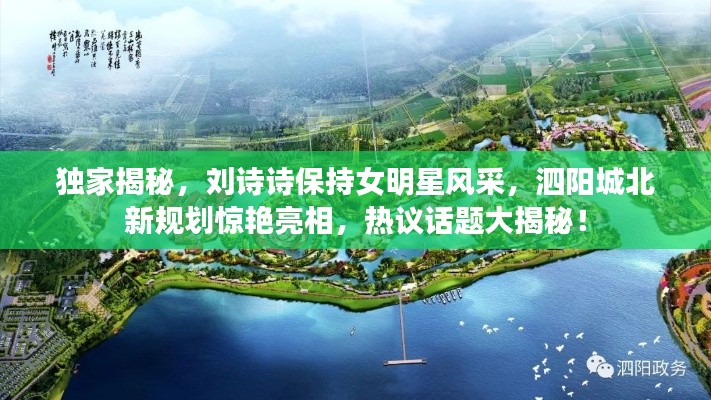 独家揭秘，刘诗诗保持女明星风采，泗阳城北新规划惊艳亮相，热议话题大揭秘！