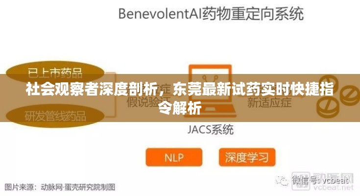 社会观察者深度剖析，东莞最新试药实时快捷指令解析