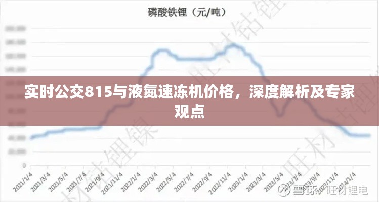 实时公交815与液氮速冻机价格，深度解析及专家观点