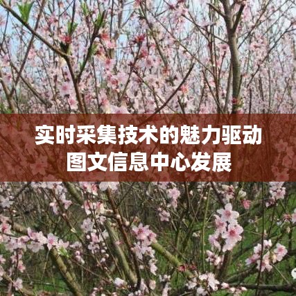 实时采集技术的魅力驱动图文信息中心发展