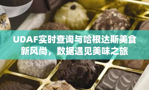 UDAF实时查询与哈根达斯美食新风尚，数据遇见美味之旅