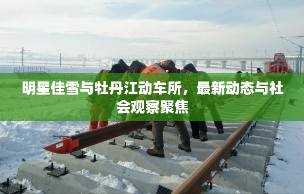 明星佳雪与牡丹江动车所，最新动态与社会观察聚焦