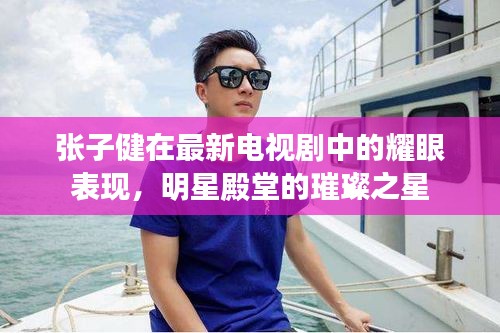 张子健在最新电视剧中的耀眼表现，明星殿堂的璀璨之星