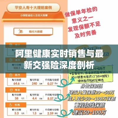 阿里健康实时销售与最新交强险深度剖析
