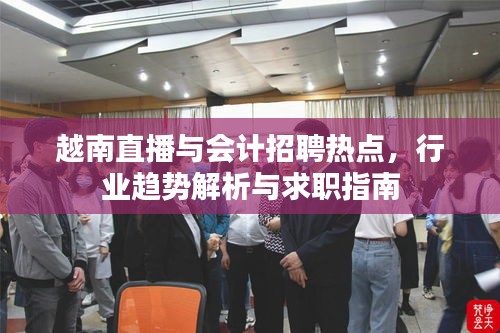 越南直播与会计招聘热点，行业趋势解析与求职指南