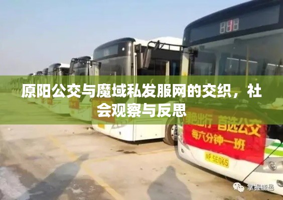 原阳公交与魔域私发服网的交织，社会观察与反思