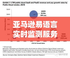 亚马逊易语言实时监测服务深度解析，本质探究、表现观察、成因揭秘与破局策略