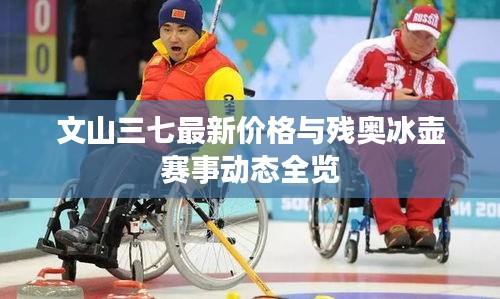 文山三七最新价格与残奥冰壶赛事动态全览