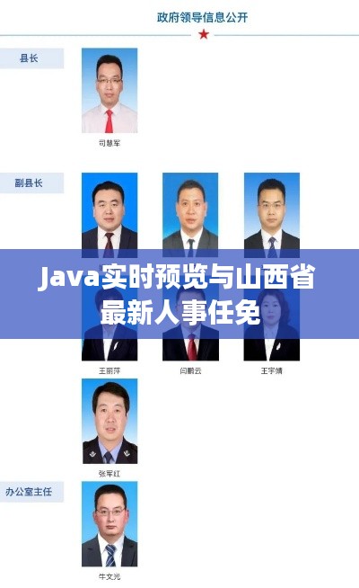 Java实时预览与山西省最新人事任免