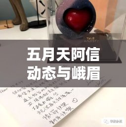五月天阿信动态与峨眉实时天气探析