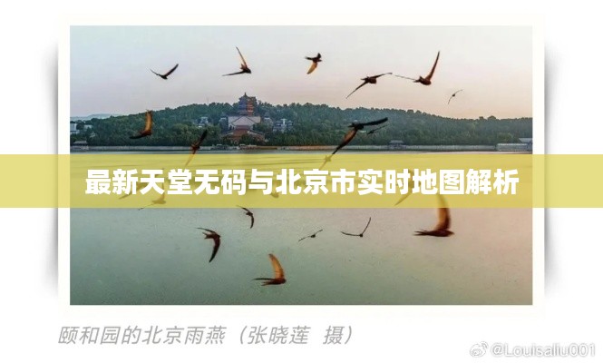 最新天堂无码与北京市实时地图解析