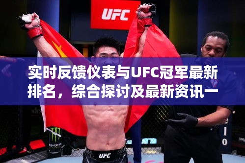实时反馈仪表与UFC冠军最新排名，综合探讨及最新资讯一览