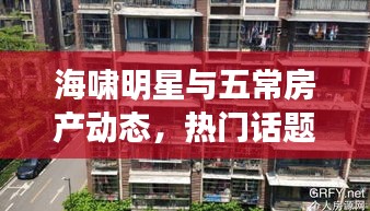 海啸明星与五常房产动态，热门话题聚焦二手房最新信息
